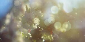 Kwitnące trawy i pyłki – najczęstsze alergeny, które można sprawdzić i odczulić biorezonansem